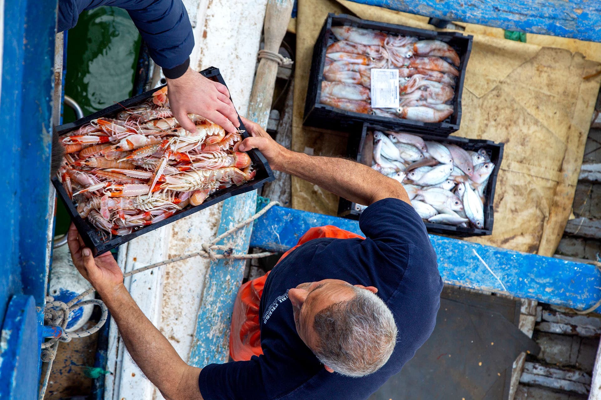Pescato fresco